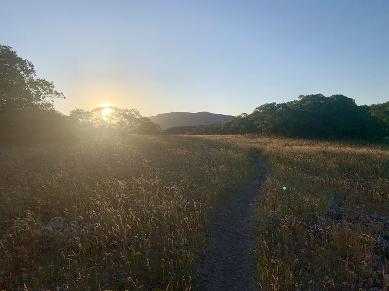 Wild rose Ridge Tour