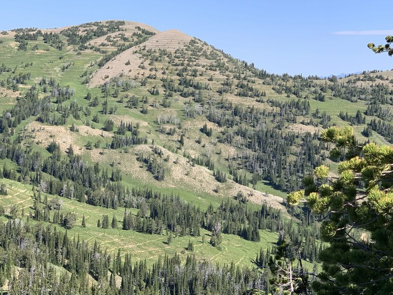 Some man made erosion control scars after mining, foresting, or fire? Not sure.