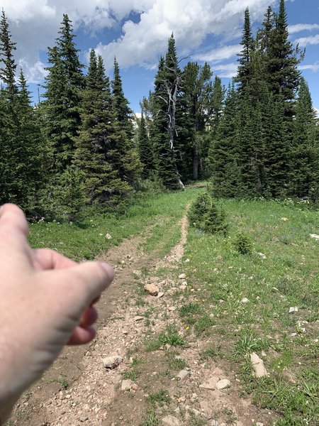 The turn. It is not marked, but you take it shortly after you start hiking to the north and are done with the downhill section.