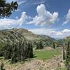 Mt. Jefferson in the background and the ridgeline you follow to get there.