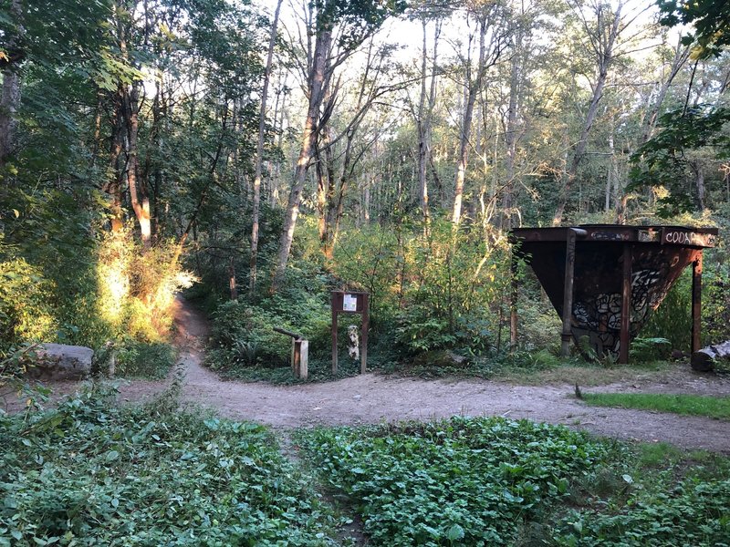 The Funnel, Dash Point State Park.