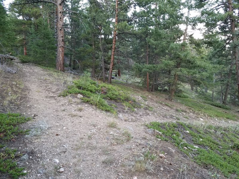 After 1.5 miles, descend the foot trail toward the right into the gully.