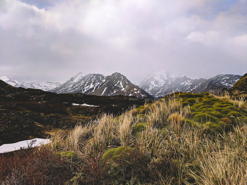 Mountain View from trail