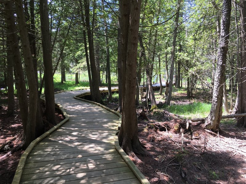 Part of the ADA accessible first section of trail