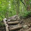 Trail stairs