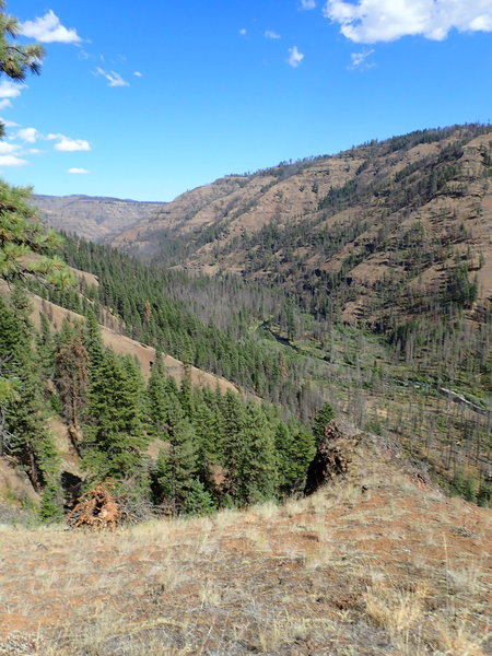 Just before switchbacks begin, looking down on the Wenaha River.