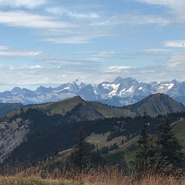 Looking South across 49th parallel