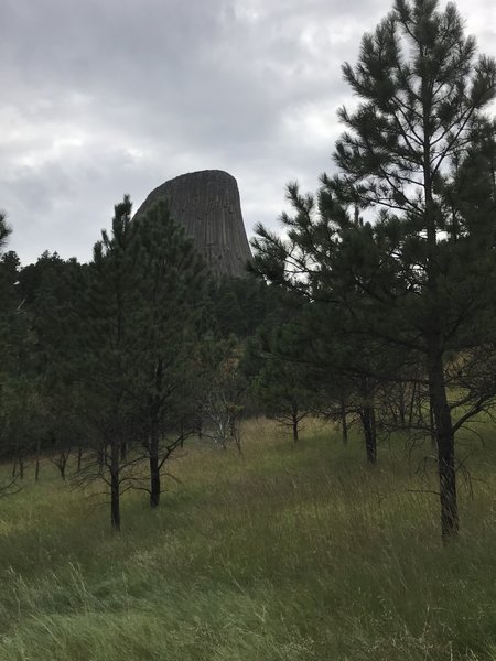 Devils Tower