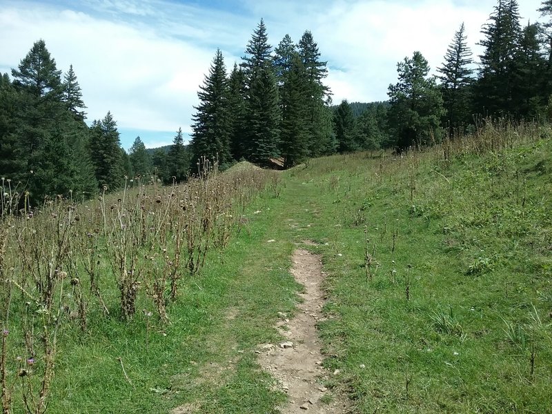 Looking east from the trail.