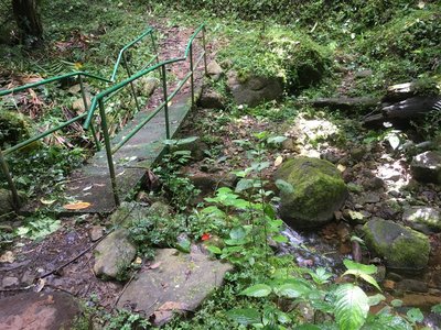 Bridge crossing at the quebrada (brook).