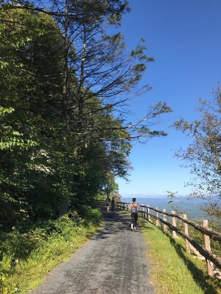 Cedar Drive lookout.