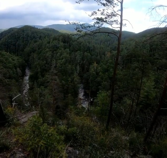 The overlook on Horseshoe Bend Trail in Cohutta Wilderness.