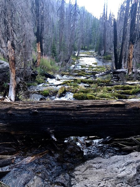 The Headwaters of the Mighty Rogue River.