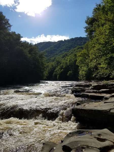 We caught the train at Beamis and rode to the top of the mountain, which is the train's ending point. We wanted to walk the 4 miles back so we could get some fishing in and enjoy the beauty nature has to offer. ♡