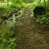 The Hidden Waterfall Trail.