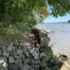 Rocky trail with fallen tree in water.