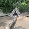 Tipi teepee) on beachfront.