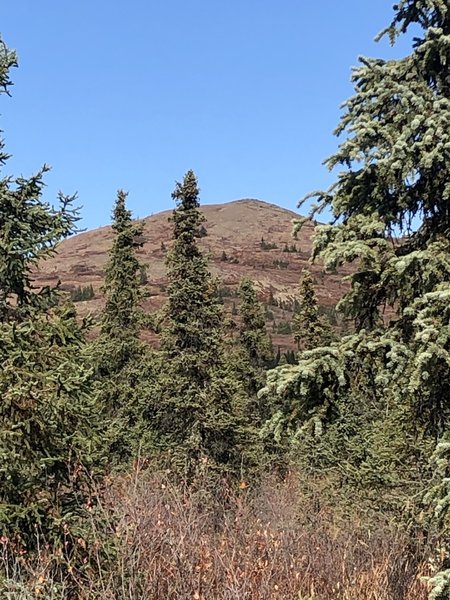 Wickersham Dome South Ridge