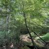 One of the several creek crossings on the trail (there are bridges or stepping stones on all of the crossings).