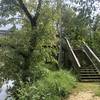 Pedestrian bridge from Accotink Creek Trail to Beaver Dam Loop Trail.