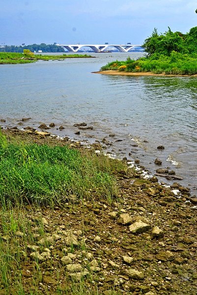 View from the end of the boardwalk.