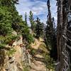 Maple Pass Trail