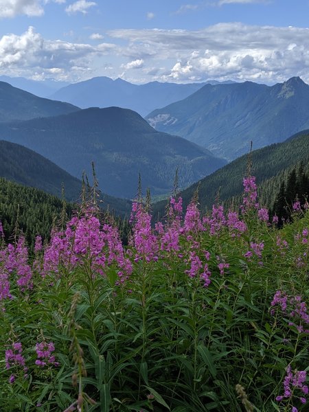 Hidden Lake Trail