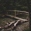 One of the many makeshift bridges along the trail.