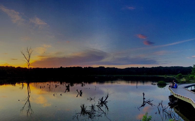 A great night at Huntley Meadows for wildlife and landscape photography