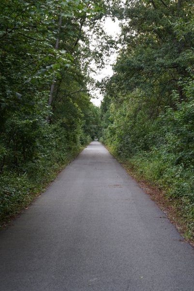 Long and straight section of the paved hike - bike trail at Huntley Meadows.