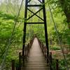 The Swinging Bridge along River Road.