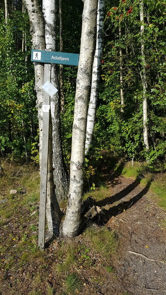 Trailhead.