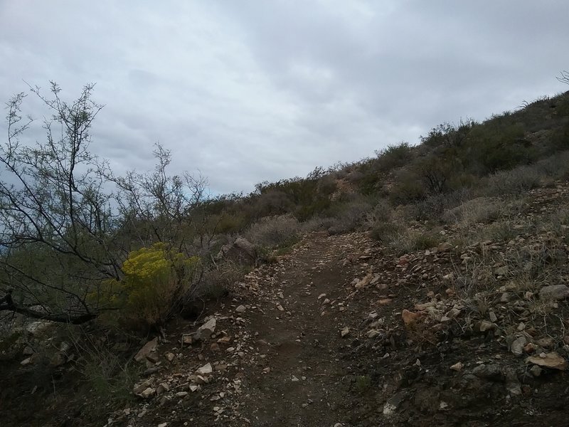 Beginning of trail of Mundy Gap Trail.