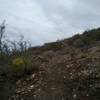 Beginning of trail of Mundy Gap Trail.