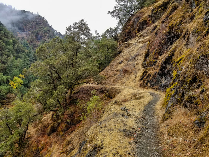 The Rogue River Trail as it hugs the rocky canyon walls covered in lush green moss.