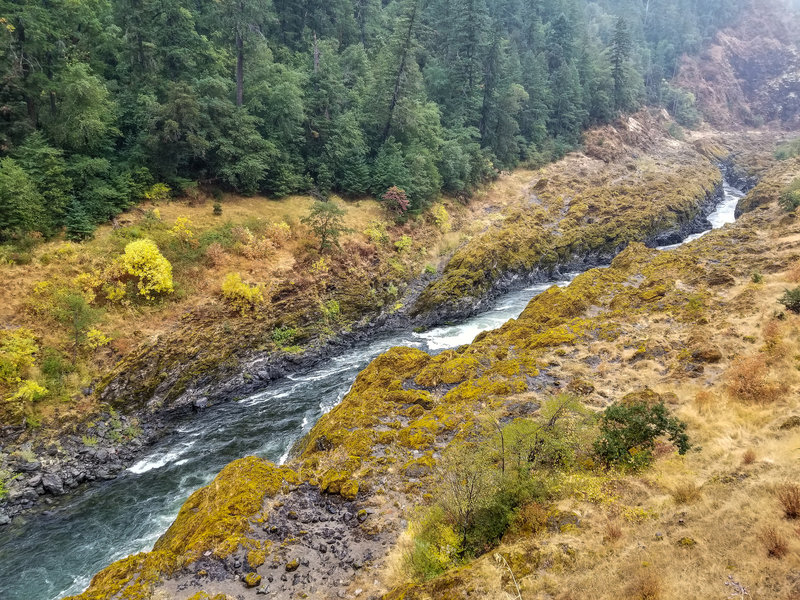 A more swiftly flowing stretch of the Rogue River between the Narrows and the Coffeepot.