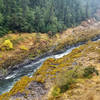 A more swiftly flowing stretch of the Rogue River between the Narrows and the Coffeepot.