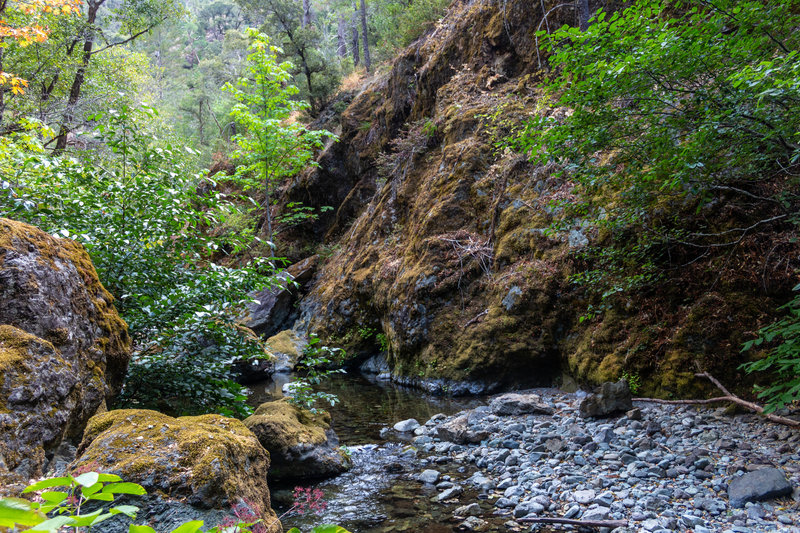 One of the West Fork Mule Creek crossings.