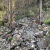 Trailmarkers leading across lichen-covered rocks.