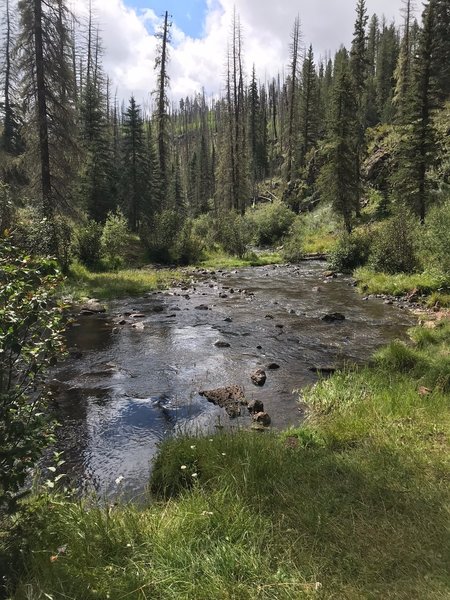 Beautiful trail along Thompson Creek!