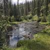 Beautiful trail along Thompson Creek!