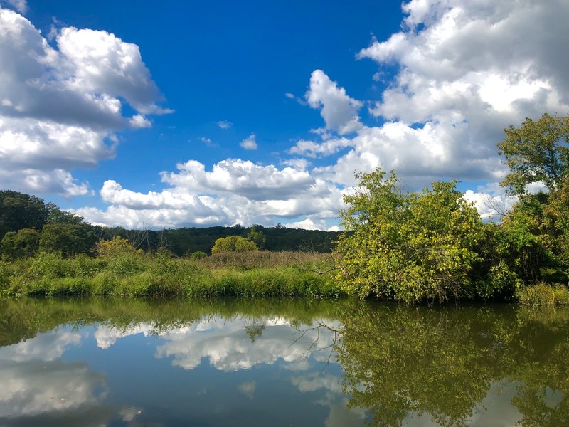 Beautiful reflections looking across Accotink Creek from the Great Blue Heron Trail.