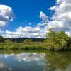 Beautiful reflections looking across Accotink Creek from the Great Blue Heron Trail.