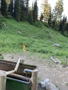 The watering trough that is spring-fed and the connecting point between Spring Run and Blowout. Looking towards the Spring Run trail.