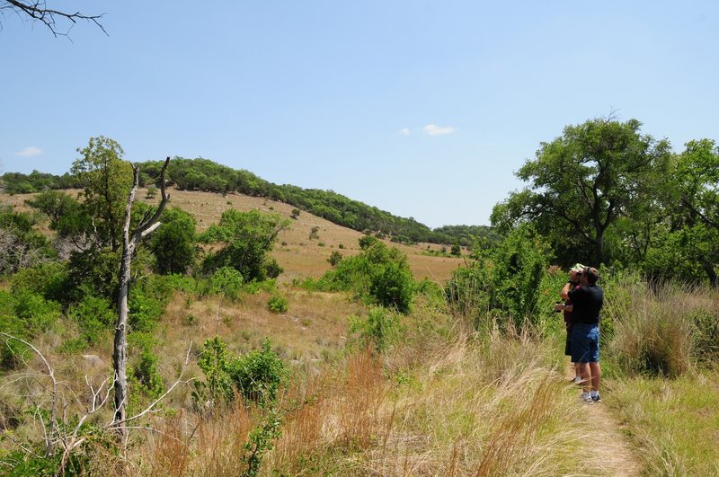 Balcones Canyonlands National Wildlife Refuge