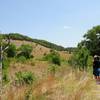 Balcones Canyonlands National Wildlife Refuge