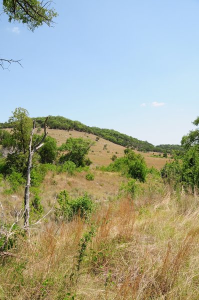 Balcones Canyonlands National Wildlife Refuge