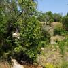 Balcones Canyonlands National Wildlife Refuge