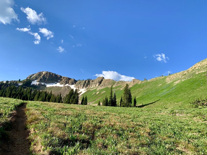 The northern section where hillsides are covered in lupines, this was a few weeks too early as flowers are just starting to appear.