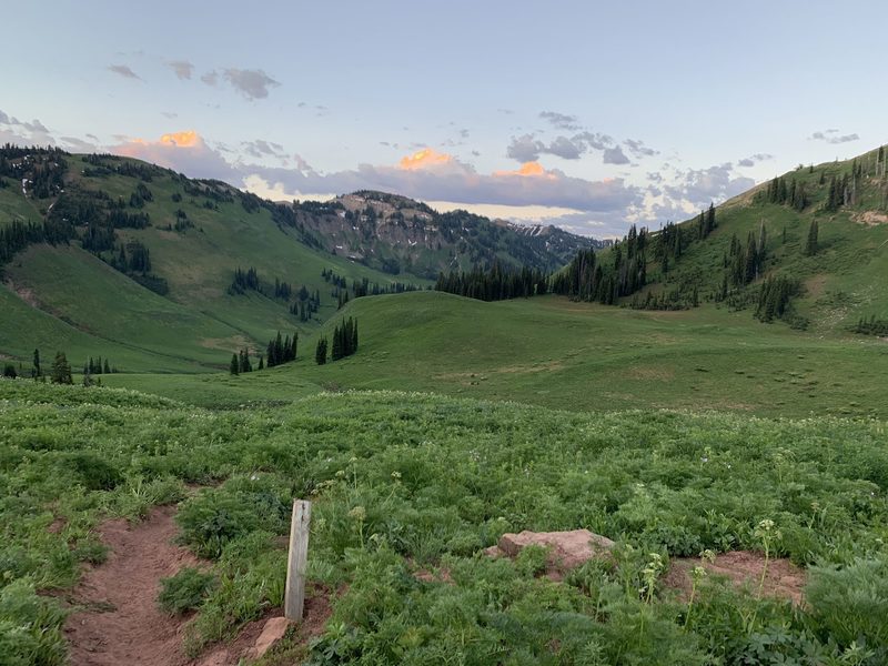 At a fork to the Indian Peak Trail, looking back down the South Fork Indian Creek Trail. This can be a confusing junction so consult your maps.